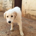 Jolie_IMG_20260301_131027