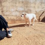 Jolie_IMG_20260301_131127