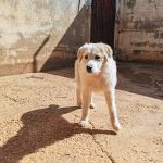 Jolie_IMG_20260301_131132