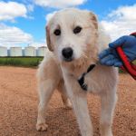 Jolie_IMG_20260315_121143