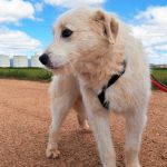 Jolie_IMG_20260315_121145