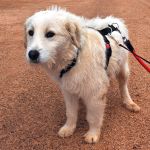 Jolie_IMG_20260315_121343