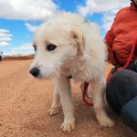 Jolie_IMG_20260315_121353