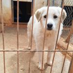 Jolie_IMG_20260315_135512