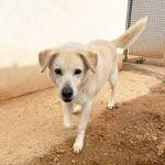 julietta_IMG_2403