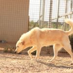 julietta_IMG_5665