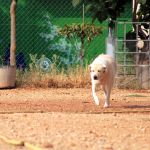 julietta_IMG_6323