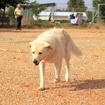 julietta_IMG_6328