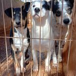 Karma_IMG-20260225-WA0040