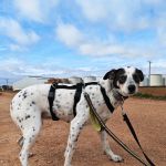 Karma_IMG_20260216_153925