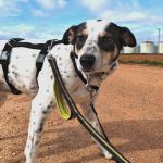 Karma_IMG_20260216_153935