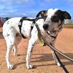 Karma_IMG_20260216_153939