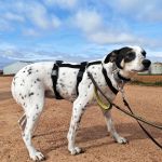 Karma_IMG_20260216_153942