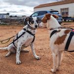 Karma_IMG_20260216_1540503