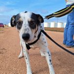 Karma_IMG_20260216_154356