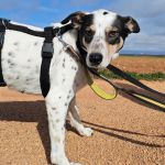 Karma_IMG_20260216_154520