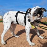 Karma_IMG_20260216_154529