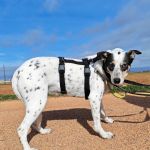 Karma_IMG_20260216_154533