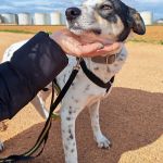 Karma_IMG_20260216_154735