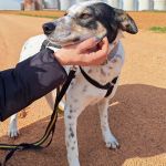 Karma_IMG_20260216_154739