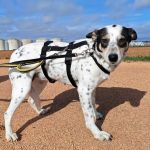 Karma_IMG_20260216_154816