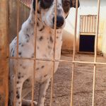 Karma_IMG_20260216_155330