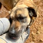 Kiara_IMG_7119