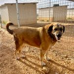 Kiara_IMG_7128