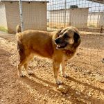 Kiara_IMG_7129