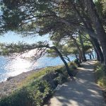 Kilometerlange Uferweg_Kroatien 2025e