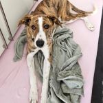 Kira_IMG-20260127-WA0030