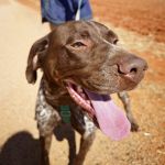 Leiva_IMG-20260919-WA00622