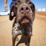 Leiva_IMG-20260919-WA0078