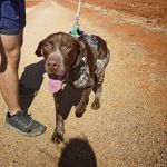 Leiva_IMG-20260919-WA0079