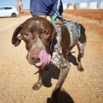 Leiva_IMG-20260919-WA0089