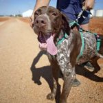 Leiva_IMG-20260919-WA0106