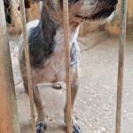 Lemur_IMG_20260707_165935