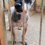 Lemur_IMG_20260707_165936