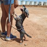 Lemur_IMG_20260719_122046