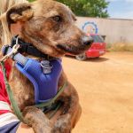 Leon_IMG_20250518_134829