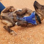 Leon_IMG_20250518_134943