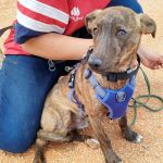 Leon_IMG_20250518_135045