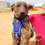 Leon_IMG_20250518_135204