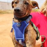 Leon_IMG_20250518_135215