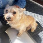 Leona_IMG-20260331-WA0044