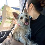 Leona_IMG-20260331-WA0056