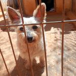 Leona_IMG-20260402-WA0036