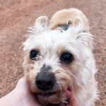 Leona_IMG-20260402-WA0042