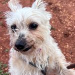 Leona_IMG-20260402-WA0044