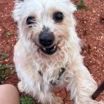 Leona_IMG-20260402-WA0055